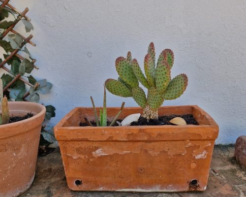 Casas oficios 2025 5