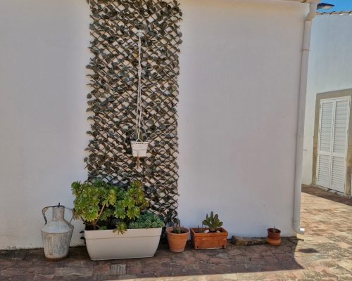 casas oficios 2025 6